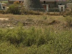 Los cadáveres se hallaron en una finca donde se almacenaba comida para animales y semillas para la siembra. ARCHIVO /