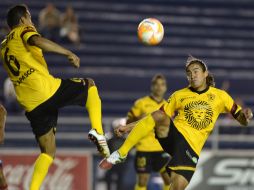 Los melenudos universitarios reciben como regalo el pase directo a ''semis''. MEXSPORT /