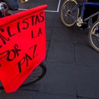 Bosque El Centinela, sin vigilancia