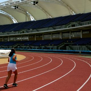 México organizará el Primer Festival Olímpico Panamericano