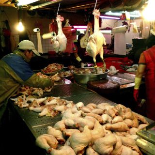 Taiwán registra primer caso de gripe aviar H7N9