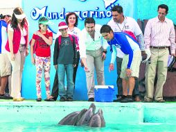 Mundo marino. Durante su visita a Selva Mágica Aristóteles Sandoval alimentó a los delfines. EL INFORMADOR /
