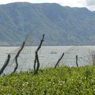 Trabajarán para lograr que Jalisco sea sustentable
