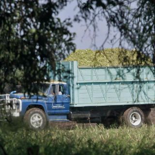 Plantean proyectos agroalimentarios
