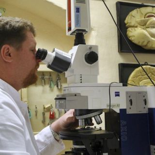 Los mini hígados en 3D abren horizontes en transplantes