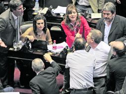 La Cámara de Diputados se convirtió en una ''cámara húngara'' donde los legisladores pasaron del debate a los insultos. AFP /
