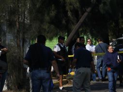 La detención tiene lugar en una finca de la calle Bosques del Encino. ARCHIVO /