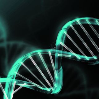 La vida ''cumple'' 60 años