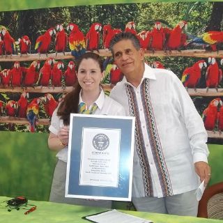 Xcaret busca récord de reintroducir guacamayas a la selva