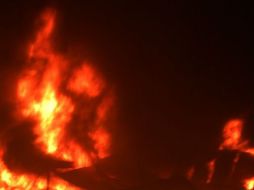 El incendio en el municipio de Bacalar tiene un 5 por ciento de control y cero por ciento de liquidación. ARCHIVO /