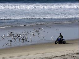 La patrulla fronteriza envía personal para detener a los indocumentados. ARCHIVO /