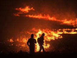 Incendio ha afectado más de 120 hectáreas de La Primavera.  /