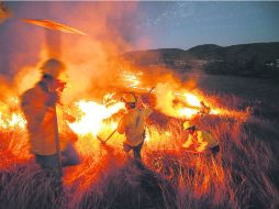 La Secretaría de Medio Ambiente afirma que básicamente se quemó pastizal, hojarasca y ''una pequeña zona de arbolado enfermo y muerto'' EL INFORMADOR /