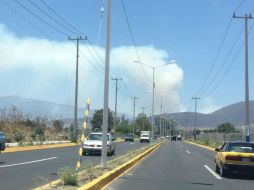 En ambos casos se presume que el exceso de calor ha sido protagonista de los incendios. Imagen tomada de @arq_karoline. ESPECIAL /