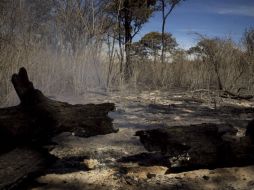 La Semadet informa que se vigila el perímetro.  /