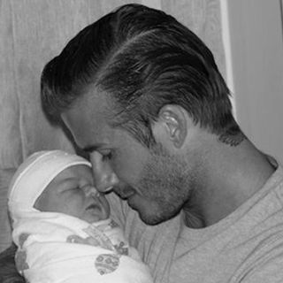 ''Crían cuervos'' que les sacan millones