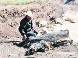 Desviación. Los ganaderos afirman que el dinero destinado a tal fin no se uso en obras contra la sequía. EFE /