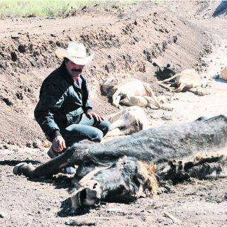 Ganaderos afirman que no llegaron recursos para la sequía