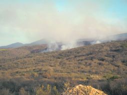 Al sur de la ZMG. Brigadistas combatían los incendios que estallaron en las proximidades del Cerro Viejo y del Cerro de Toltepec. EL INFORMADOR /