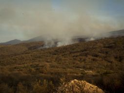 Desde ayer se registran los incendios en el municipio de Tlajomulco de Zúñiga. ARCHIVO /