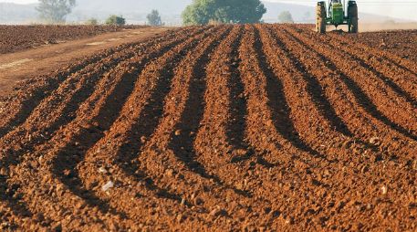 Caída. El campo registró menos gasto para el Gobierno Federal. ARCHIVO /