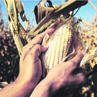 La Ciudad Agropecuaria inicia operaciones