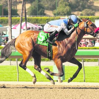 O’Neill y Krigger en busca de la gloria