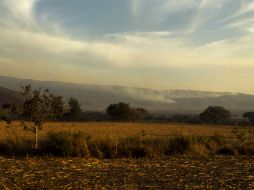 La humareda de los incendios en el sur de la ciudad ha causado el incremento de la contaminación ambiental.  /