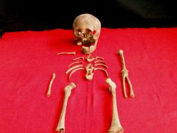 Restos óseos humanos fueron descubiertos en Centro Histórico de la Ciudad de México. NTX /