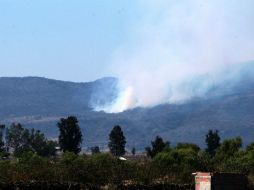 El incendio en Cerro Viejo es atendido por brigadistas de distintas dependencias, Bomberos y Protección Civil de Tlajomulco.  /