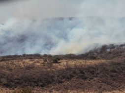 Según reportaron autoridades, los incendios han sido controlados, pero la precontigencia sigue vigente por la contaminación. EL INFORMADOR /