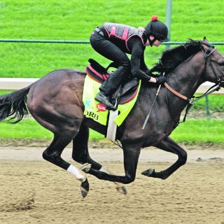 Orb sale como favorito sobre el invicto Verrazano