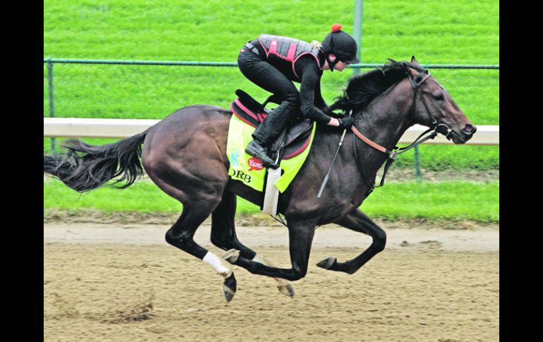 El corcel Orb, montado por Jenn Patterson, jinete de prueba, es marcado por los expertos para llevarse el Derby de Kentucky 2013. AP /