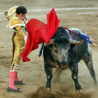 Sonora prohíbe las corridas de toros