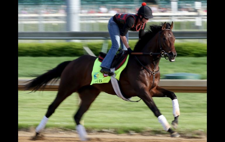Orb es uno de los caballos que están colocados como favoritos. AFP /
