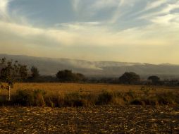 Ya participan brigadistas de Jesús María, San Ignacio Cerro Gordo, Capilla de Guadalupe, Arandas y San Julián. ARCHIVO /