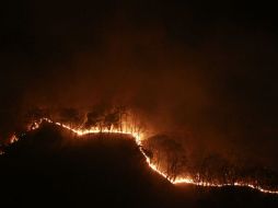 Los bomberos tardaron más de 48 horas para sofocar el siniestro el pasado 30 de abril en el bosque La Primavera. ARCHIVO /