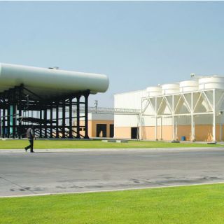 Dan banderazo a nuevo rastro TIF avícola