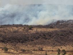 Los incendios, en su mayoría, han podido ser controlados, pero las condiciones climatologías han reactivo las deflagraciones. EL INFORMADOR /