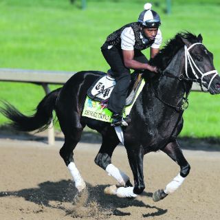 Trío de favoritos arrancan por la gloria
