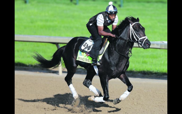Revolutionary pertenece a WinStar Farm LLC., es entrenado por Todd Pletcher y será montado por Calvin Borel. AFP /