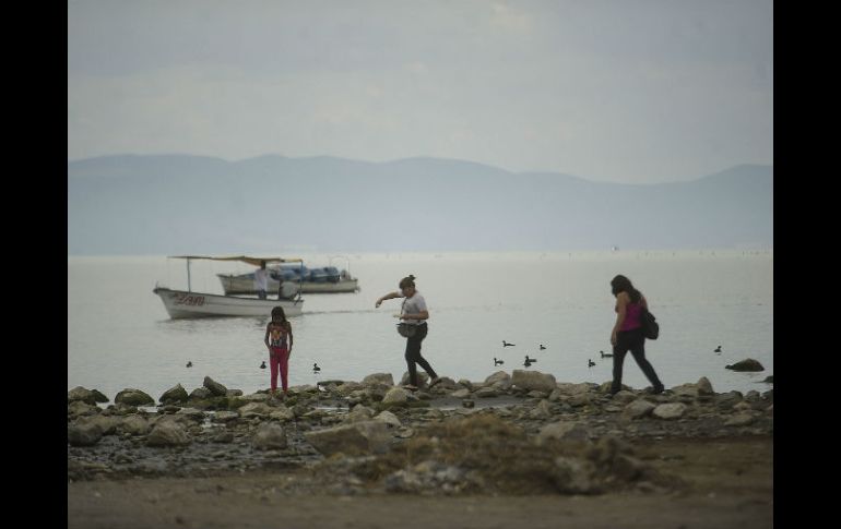 El ''Expediente de hechos Chapala II'' proporciona un diagóstico del lago. ARCHIVO /