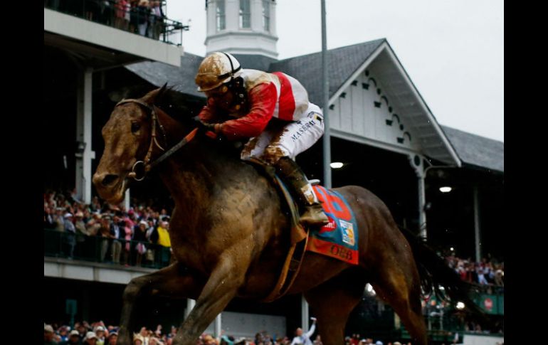 Rosario, un debutante en el Derby, maniobró muy bien para colocar a Orb por  el exterior y llevarlo hasta la meta final. AFP /