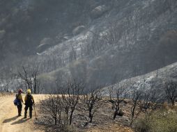 El menor de los incendios de la semana, el llamado Incendio 306, estaba controlado en 95 por ciento la mañana del domingo. AFP /