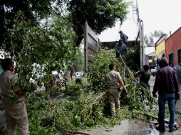 Buscan recuperar la imagen y condiciones del paisaje en el municipio. ARCHIVO /