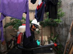 Reforzaron acciones de prevención en la zona costera. ARCHIVO /