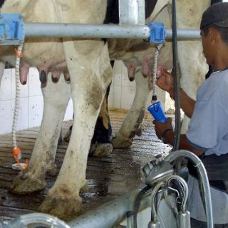 Formalizan acuerdo para solicitar apoyo a productores de leche de Jalisco
