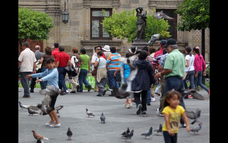 La iniciativa, propuesta por el PRD, otorgaría derechos a individuos como recibir alimentos, tutela,seguridad social entre otros. ARCHIVO /