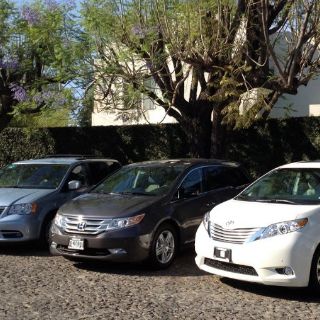 Por gusto o por moda