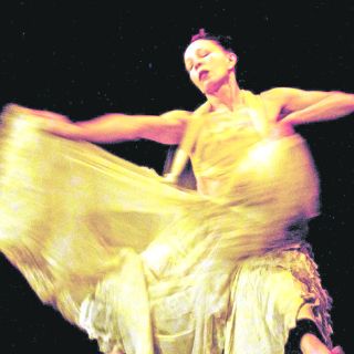 Lola Lince: sueños con estela oriental